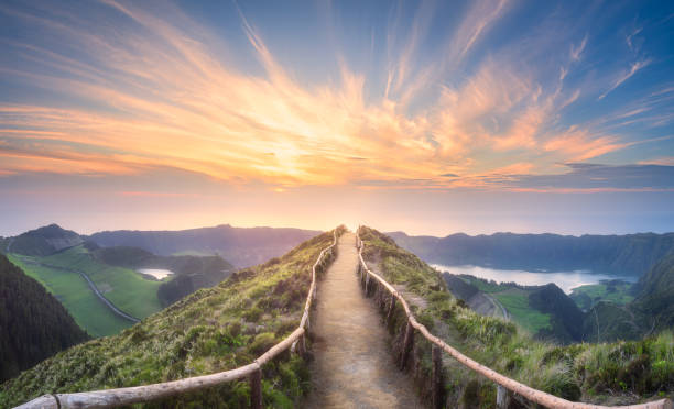 Mediavine Journey: The On-Ramp for Growing Blogs Explained