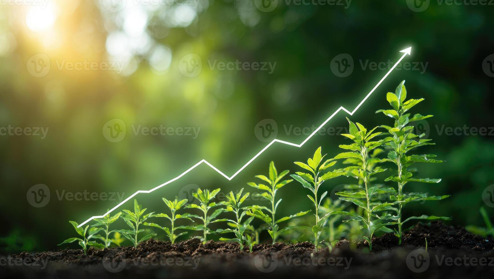 How to Grow Organic Traffic Without Spending Money on Ads